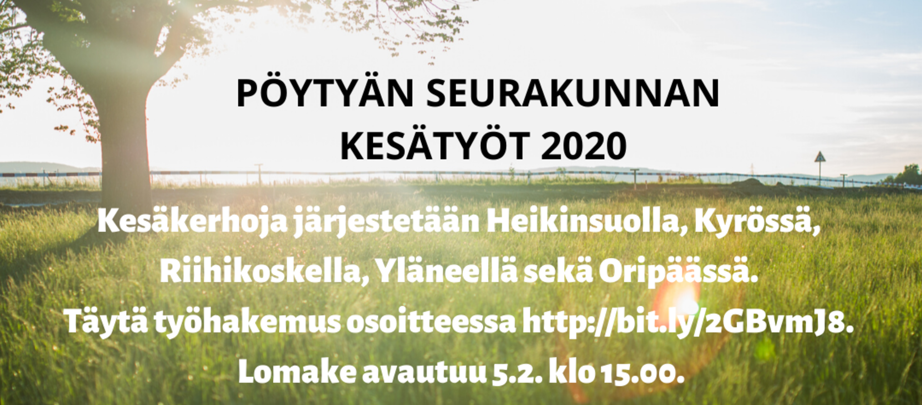Kuvassa kesäinen niitty. Vasemmalla on iso lehtipuu, jonka läpi aurinko paistaa kirkkaasti. Kuvassa on sama...
