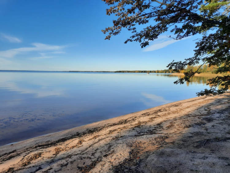 Perhekahvila ranta